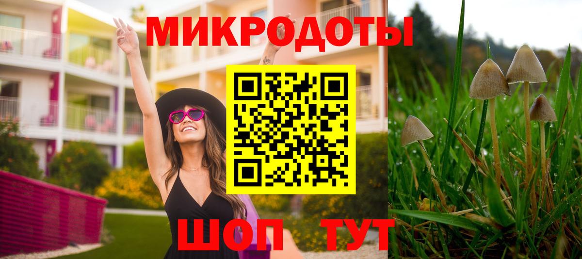 Среднеуральск  Псилоцибиновые грибы GOLDEN TEACHER  Вход с VPN  Псилоцибиновые грибы MAGIC MUSHROOMS 
